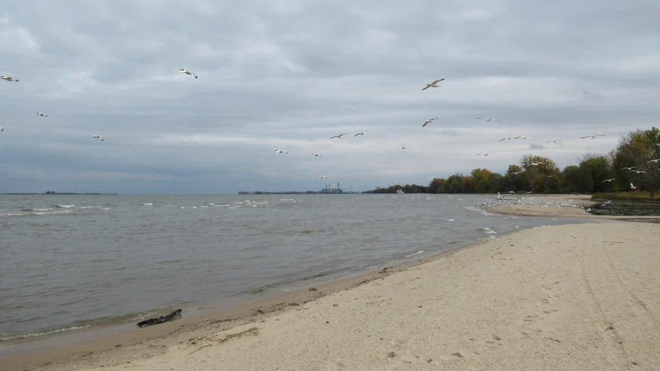 Sandy beach beside the water at Bay City State Park