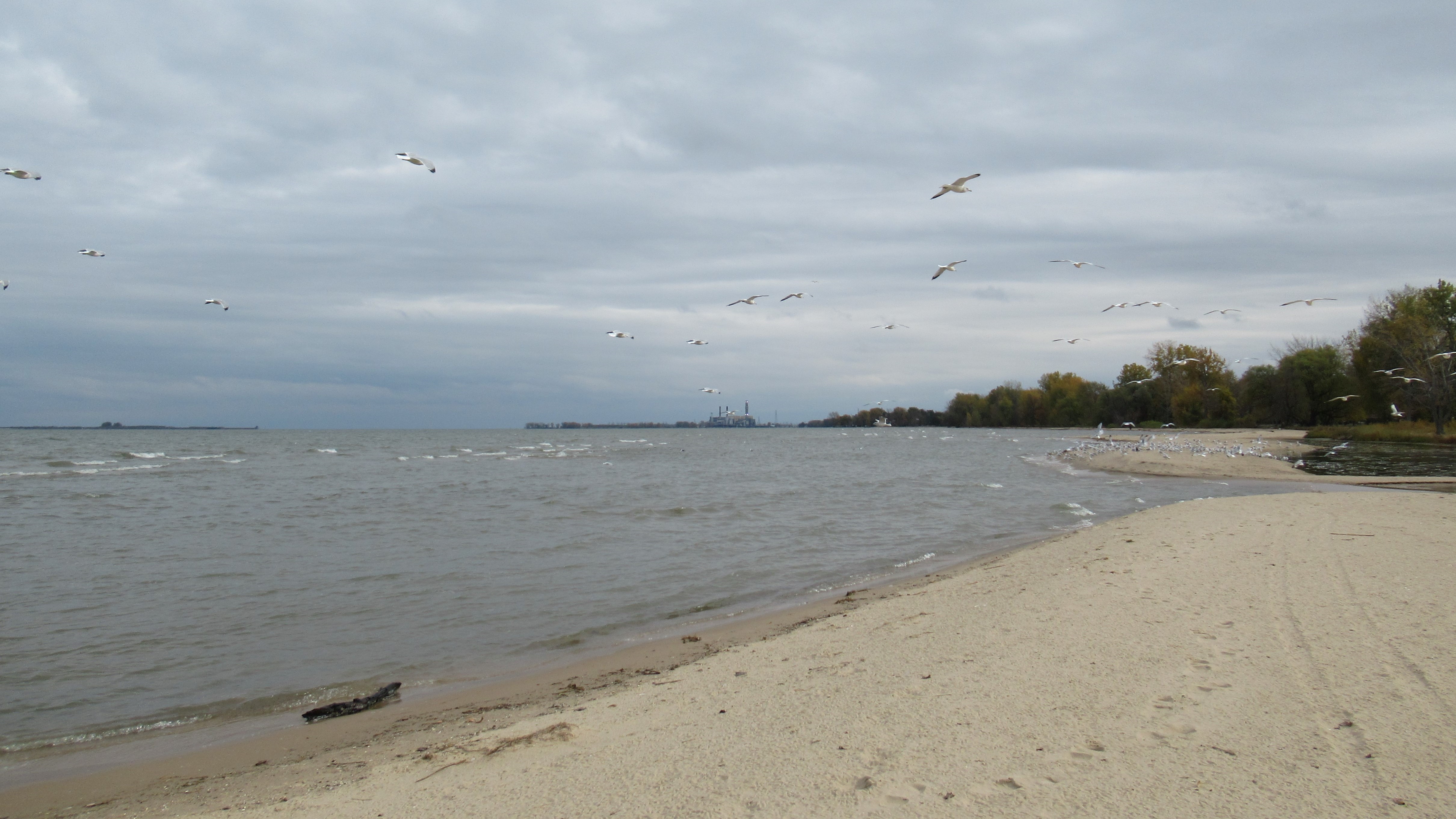 Bay City State Park Saginaw Bay beach Michigan with green marsh in background